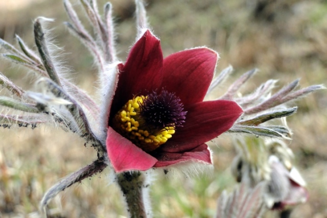 c0248473_2134614.jpg