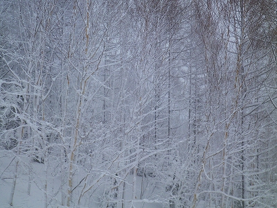 f0182173_1624717.jpg