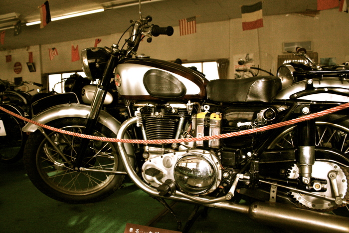 a0168780_039689.jpg
