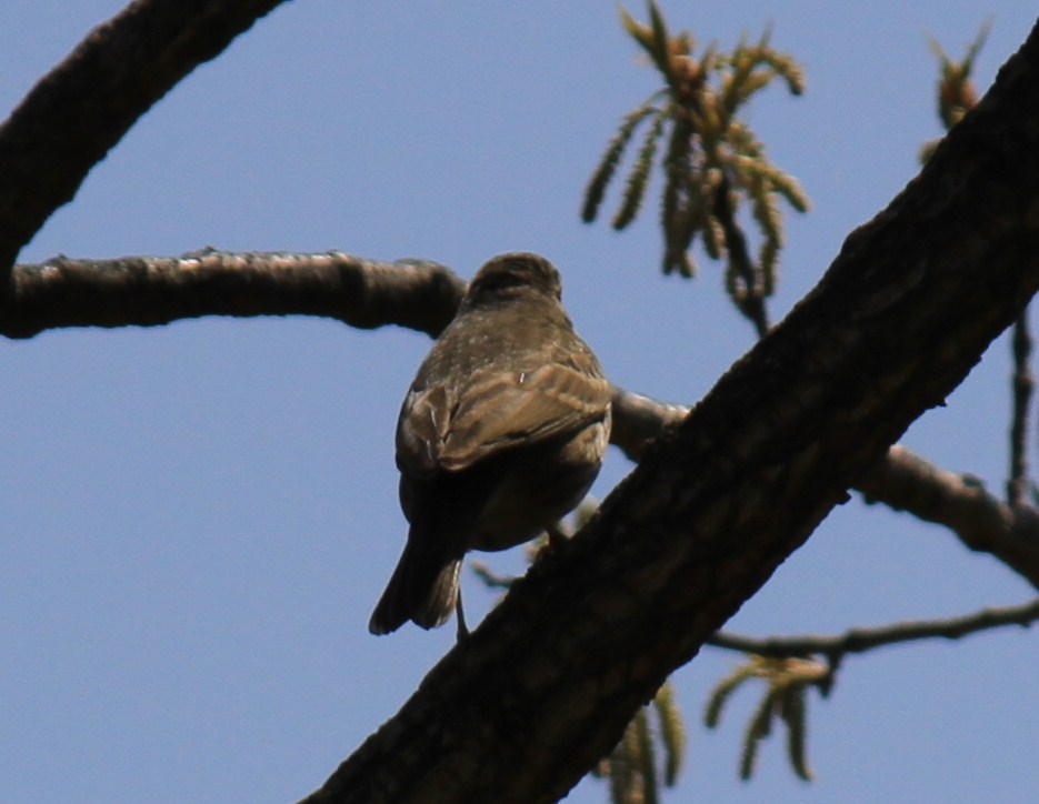 e0197884_0425544.jpg