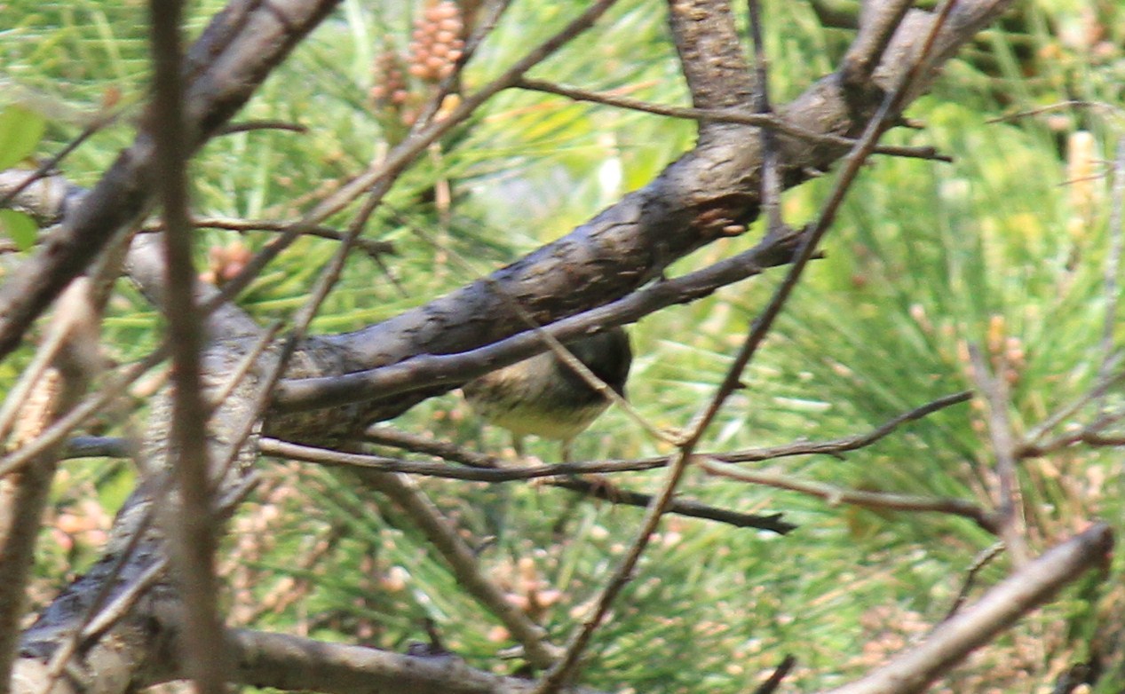 e0197884_045267.jpg