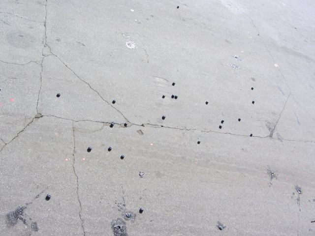 b0202185_15401389.jpg