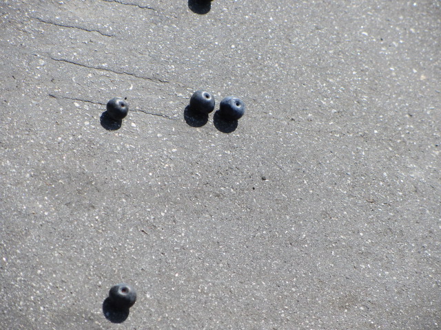 b0202185_15424177.jpg