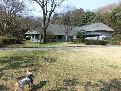 e0123587_19581824.jpg