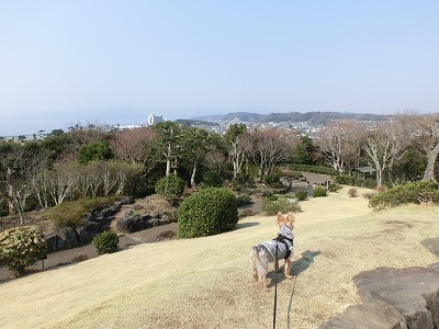 e0123587_19582515.jpg