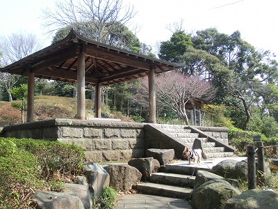 e0123587_19583773.jpg