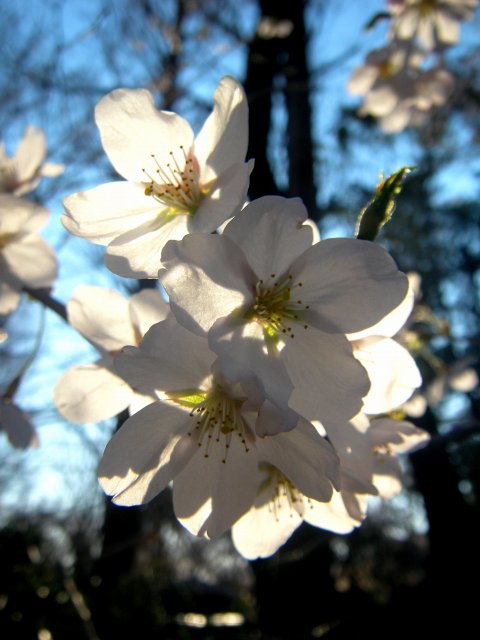 e0202393_1912950.jpg