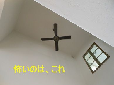 a0137294_22404951.jpg