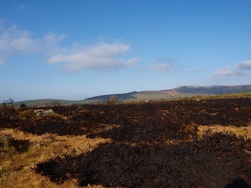 b0110999_23273050.jpg