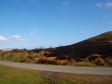 b0110999_2328660.jpg