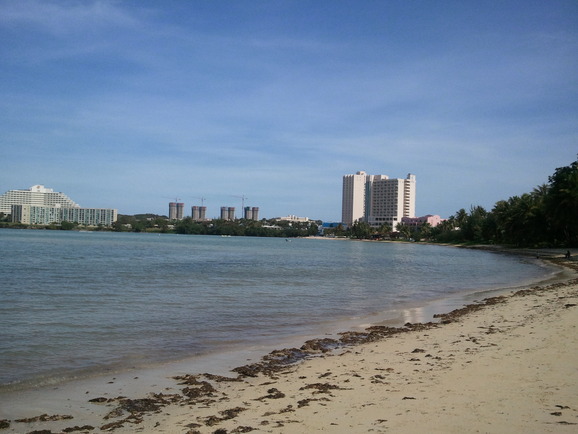 d0077699_7195240.jpg