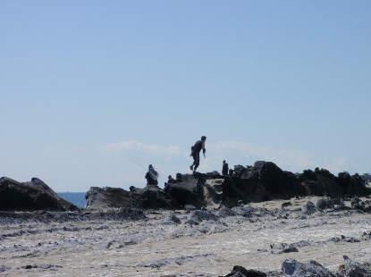 e0077899_8363025.png