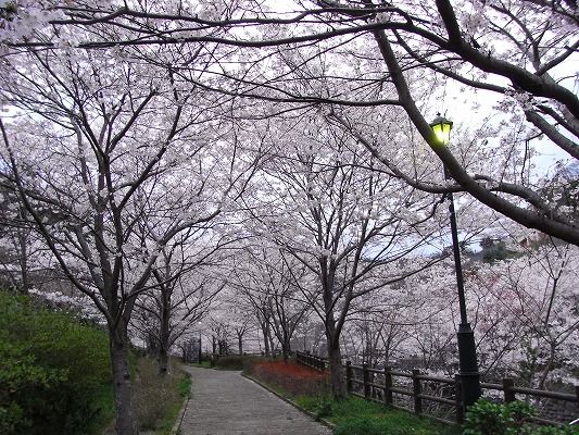 f0187402_20313680.jpg