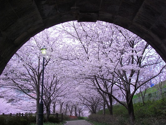 f0187402_2031524.jpg