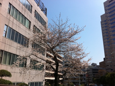 d0054704_211742.jpg