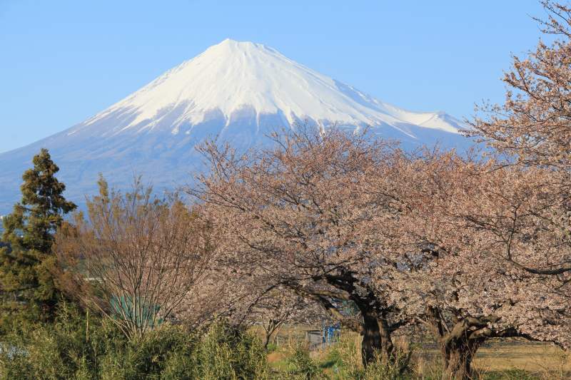 a0188405_5101482.jpg