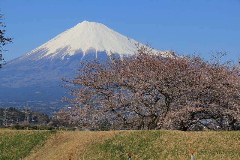 a0188405_564473.jpg