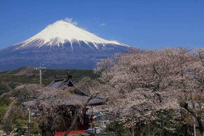 a0188405_625956.jpg