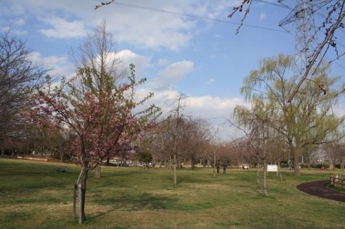 c0132205_1981756.jpg