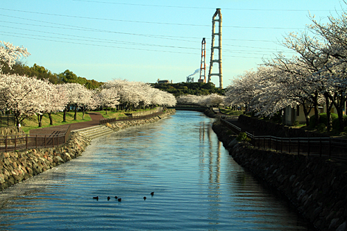 b0014607_18581464.jpg