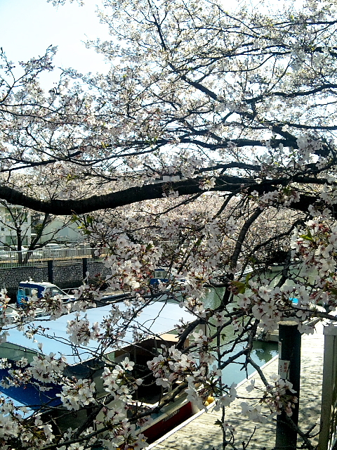 d0102007_13493152.jpg