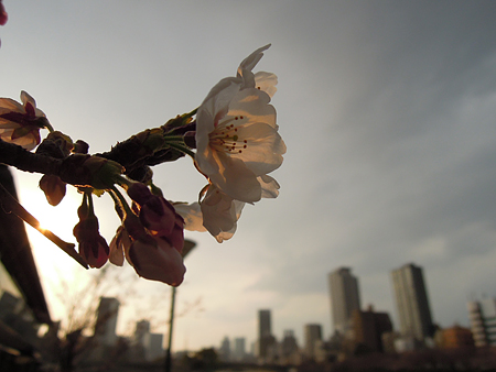 a0041508_16292915.jpg