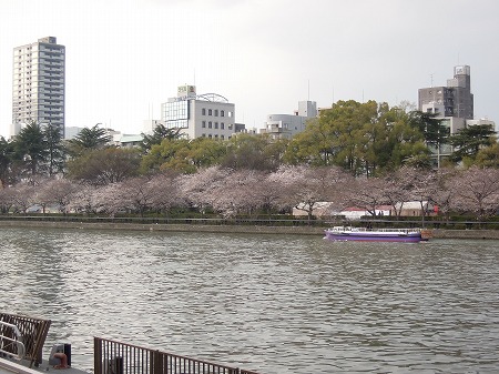 a0041508_16292990.jpg