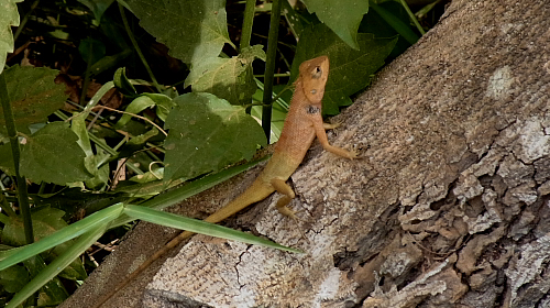 20120406-5.jpg