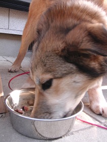 e0272111_214134.jpg
