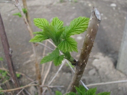 c0229312_13404749.jpg