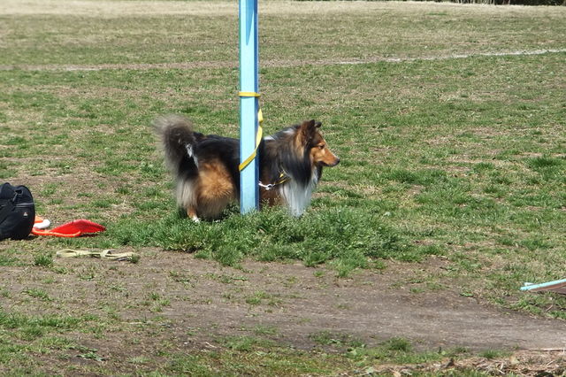 f0098313_4384150.jpg