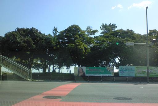 c0097620_2092959.jpg