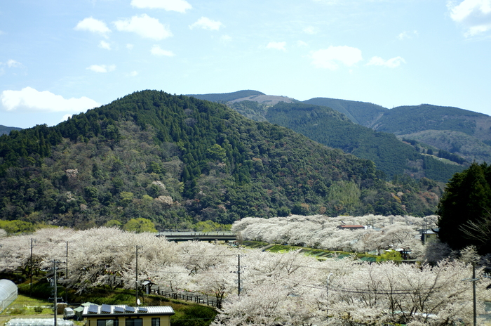 d0072720_21144789.jpg