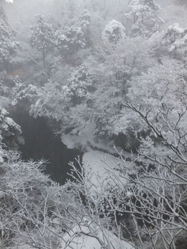 c0152123_8581420.jpg