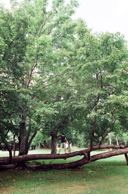 f0182924_2228596.jpg