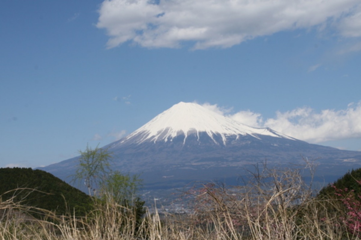 e0033229_2147757.jpg