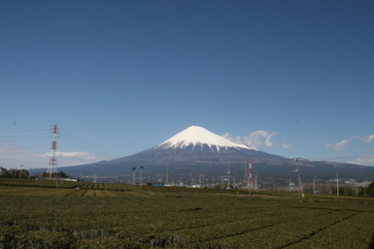 e0033229_22283570.jpg
