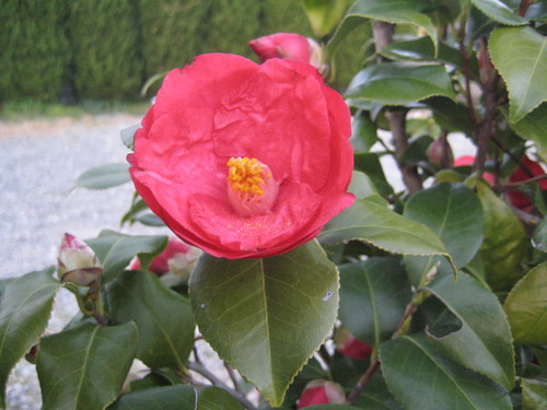 f0202529_16155087.jpg