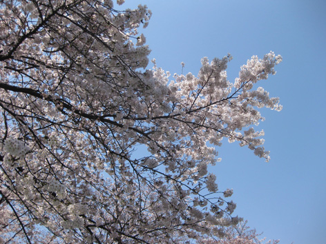 b0012636_21191587.jpg