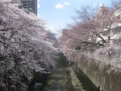b0012636_21361220.jpg