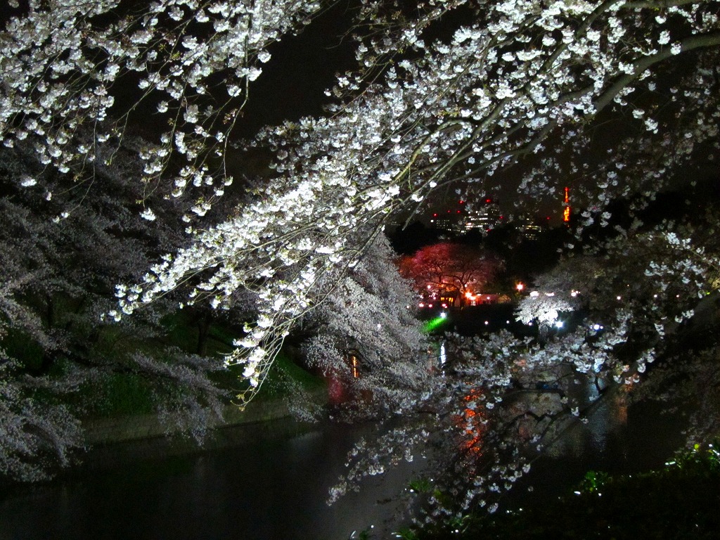 a0219537_021386.jpg