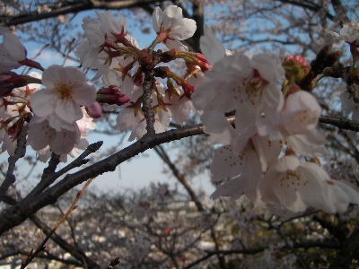 a0054240_212329100.jpg