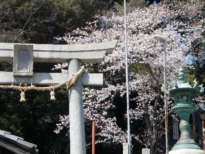 a0054240_21335848.jpg
