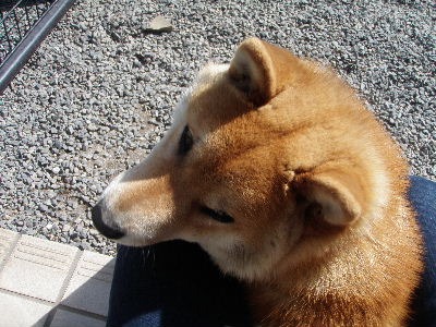 a0054240_21453426.jpg