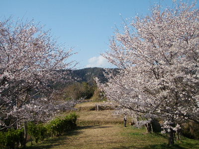 a0054240_21501491.jpg