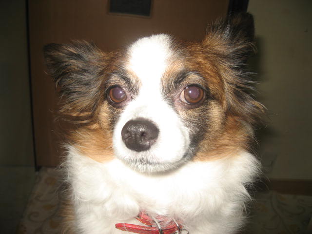a0149240_92289.jpg