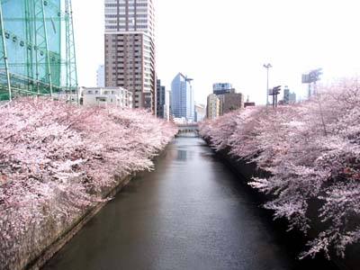b0019140_15125926.jpg