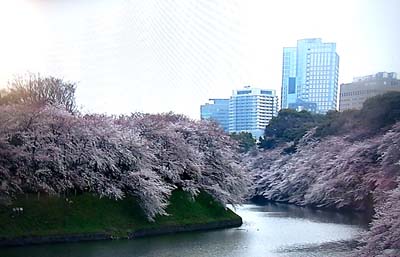 b0019140_15161071.jpg
