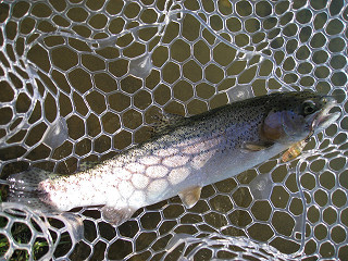 f0065341_14103833.jpg