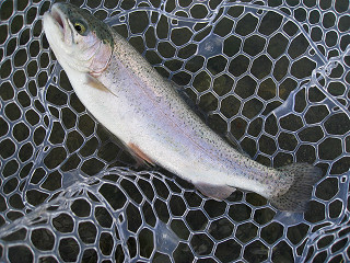 f0065341_1417349.jpg